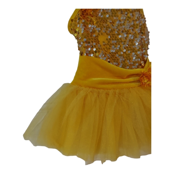 Curtain Call Costumes CXS Gold Silver Sequin Velvet Multi Layered Ballet Tutu - Picture 9 of 13